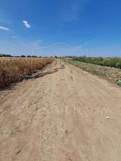 0% COMISION TEREN DE VÂNZARE DE 2470 MP CU POTENȚIAL DE INVESTIȚIE - 6