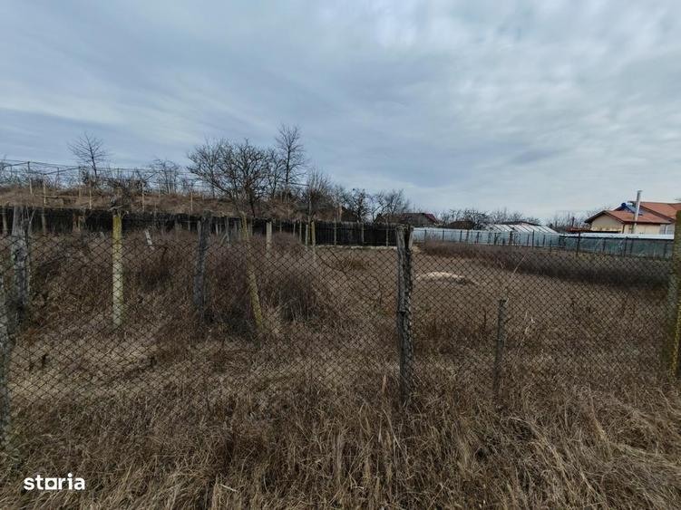 Teren constructii langa oras, Letea-Veche - 2