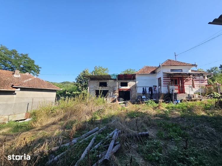 Casă cu 3 camere cu Teren 8338 Mp în Dobra