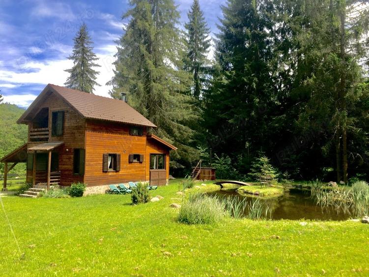 Casa din grinzi pe marginea paraului Borzont - 1