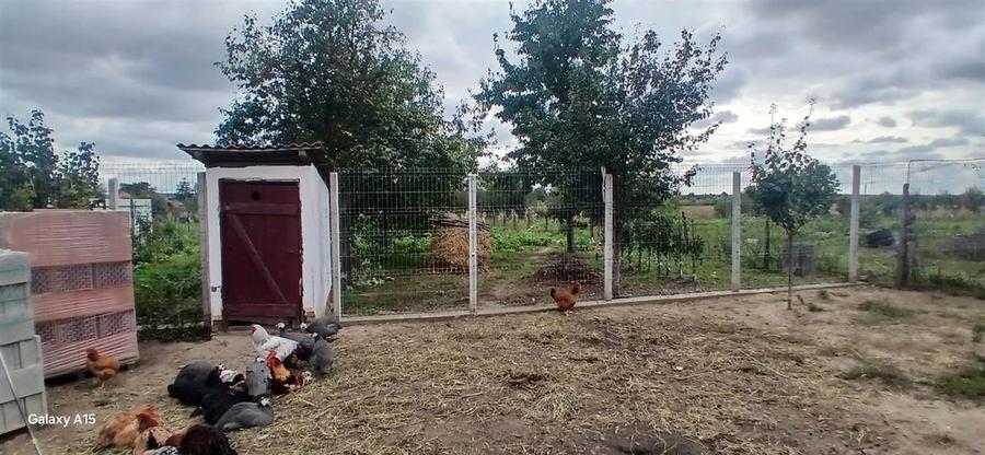 RECO Casa cu teren mare in Diosig - 8