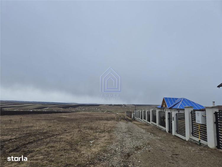 Teren Moara Nica 800 mp - 1