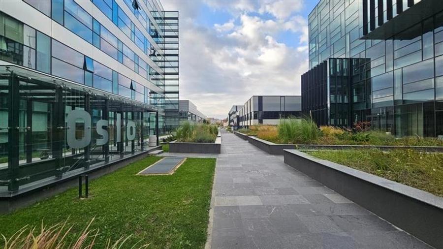 Spatii birouri de clasa A de inchiriat in London Building de la 550 mp - 10