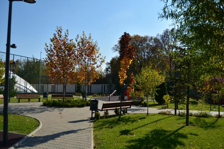 Villa with  7 rooms/ Heated Pool/ Pipera - 5