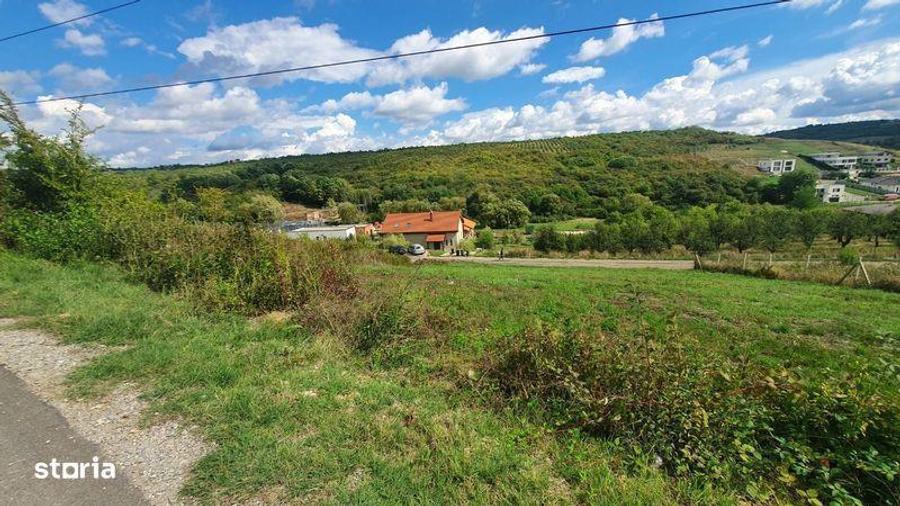 Vanzare teren 1000 mp - 1