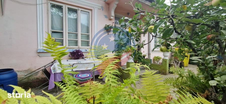 Casa parter cu teren generos de 595 mp, in ?imnicul de Jos Craiova - 5