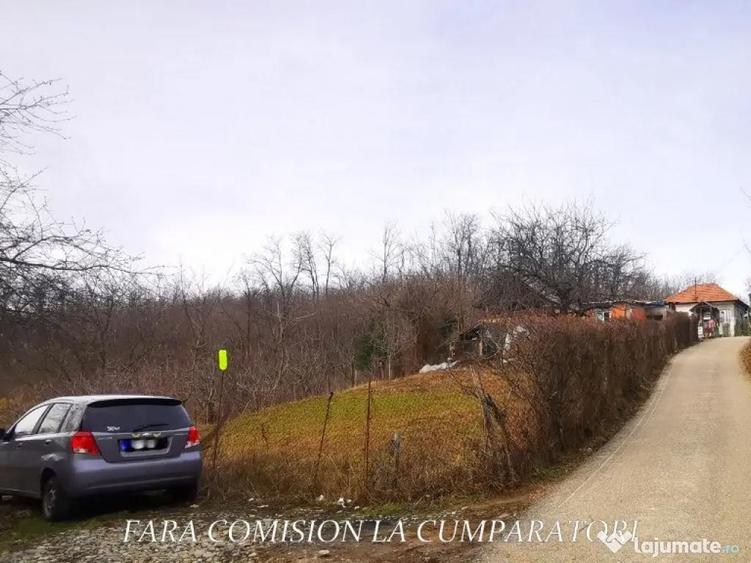 VLADESTI - LOT TEREN BINE AMPLASAT - 3