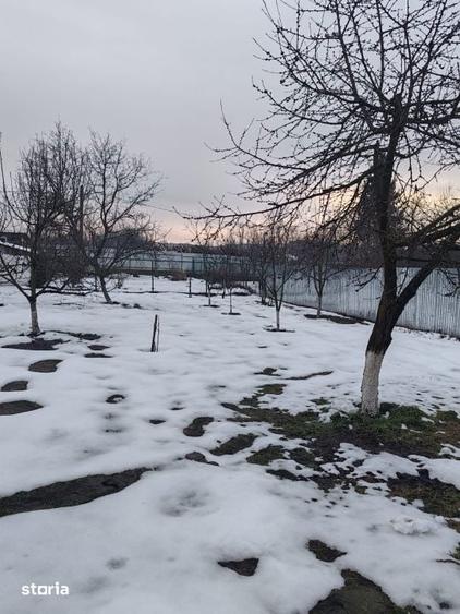 Casa caramida, teren 759 mp, garaj, la 3 km de Baia Mare, Tautii de Su - 17