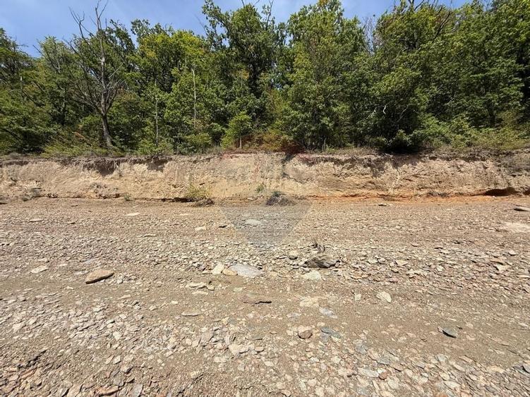 Teren intravilan cu deschidere la lacul Tarnița - 6