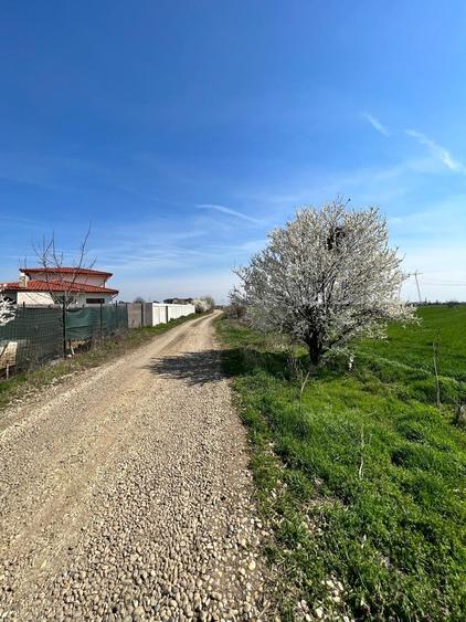 De vanzare lot teren intravilan Dumitrana Magurele - 1