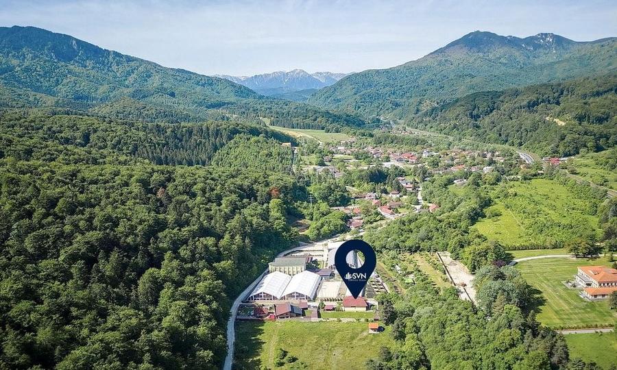 Suprafata generoasa teren - 3