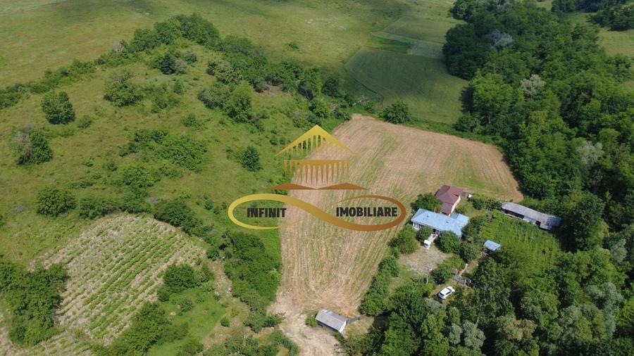 Casa batraneasca cu 2ha de teren de vanzare in sat Balaia / Bacau - 26