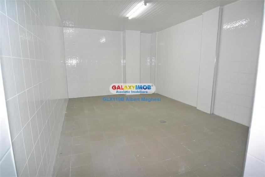 Inchiriere vanzare spatiu productie alimentara P-ta Delfinului - 9