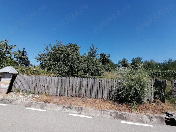 Casa si teren de vanzare - 3