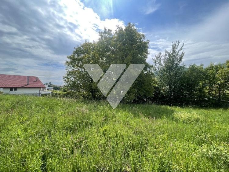 Teren Intravilan Constructii - Cisnadioara - Sibiu - 3