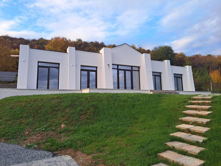 VILA NOUA,MODERNA CU 2100 METRI PATRATI TEREN-VIISOARA - 1