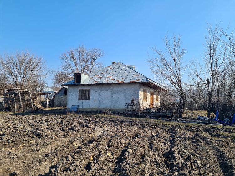Casa cu 1 ha de teren agricol / 15 km Tecuci - 2