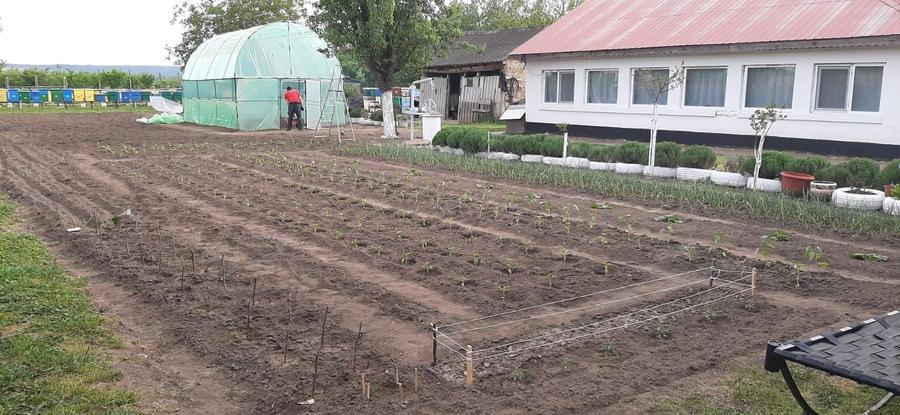 Casa cu teren in Zimnicea - 2