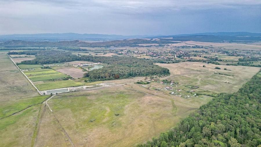 Teren Extravilan - 12