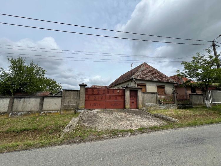 Vand casa in Tasad cu teren de 5793mp la asfalt, front stradal de 30m - 5