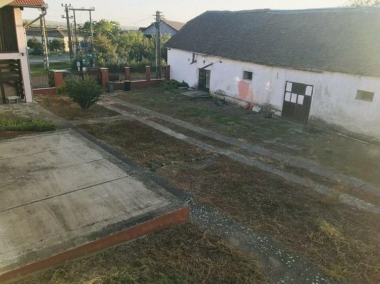 Oportunitate de investitie, o cladire D+P+M rustica in comuna Pischia - 5