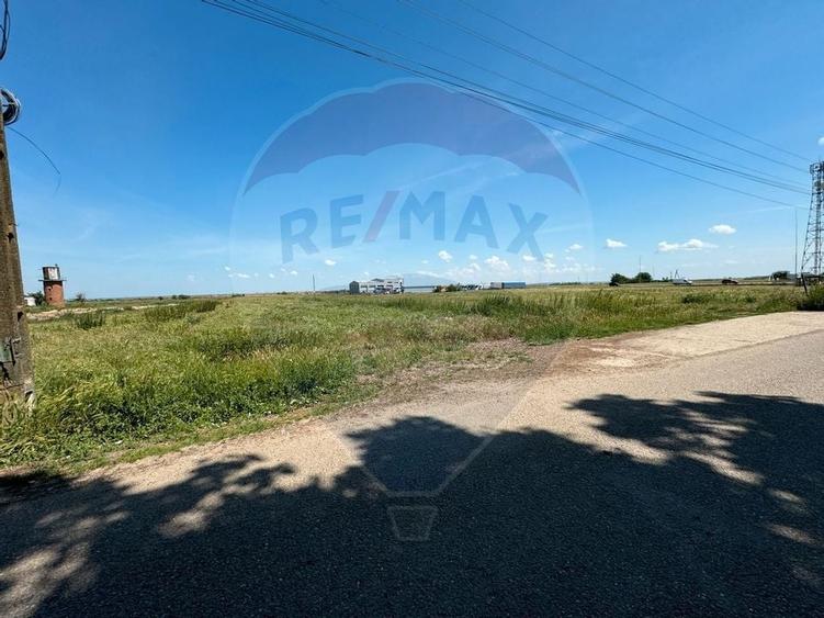 Teren 11404 m2 , Biharia la 1km de autostrada A3 si 300m de centura - 5