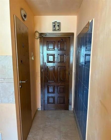 Garsoniera-Sagului-Turist - 1