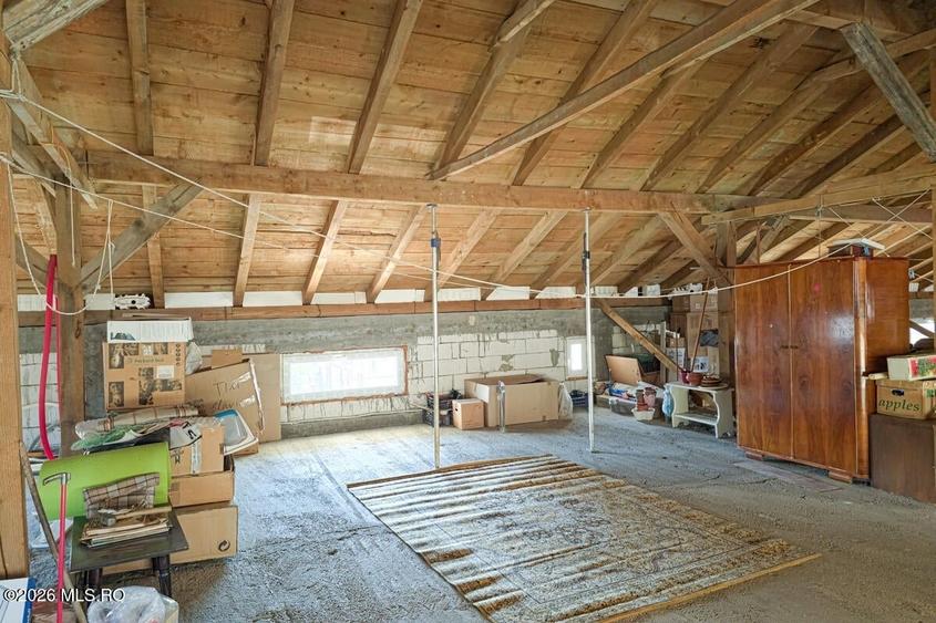 Lunei - Ion Neculce, 2 Apartamente. Mansarda 157 mp. Anexe, Lot 475 mp - 36