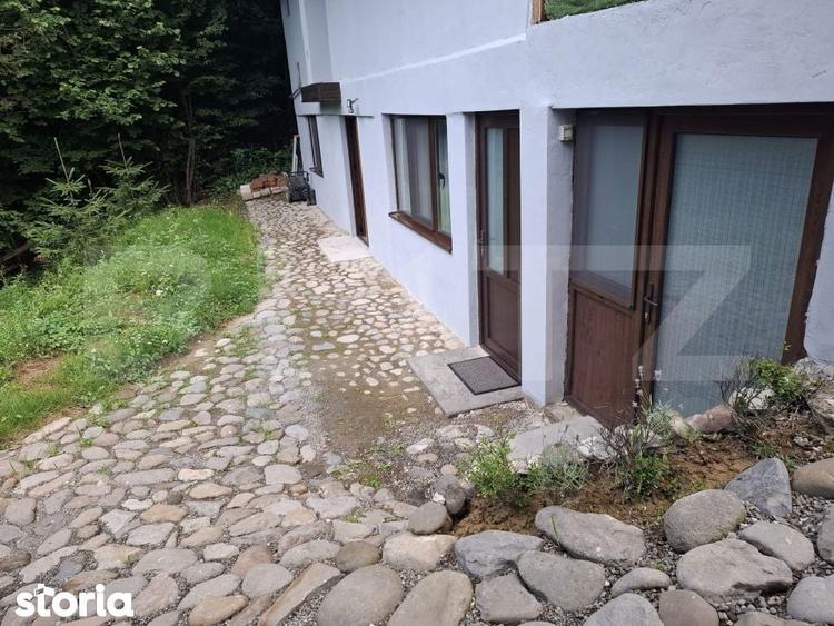 Colt de rai in Muntii Calimani cabana ideala pentru vacanta sau in - 2