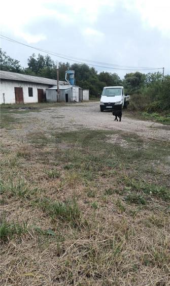 RECO Hale predestinate prelucrarea lemnului, loc. Auseu, sat - 3