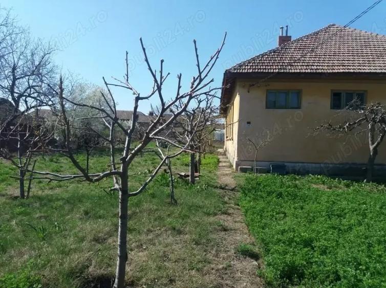 Casă cu 6 camere în Maglavit