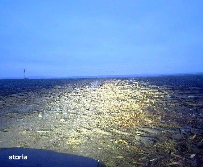 Teren extravilan Aroneanu, ID: R2933872 - 6