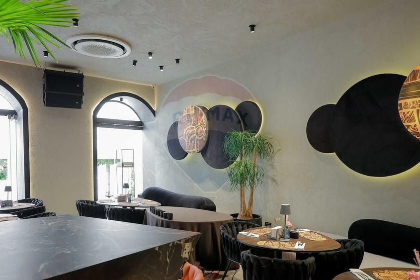 De vanzare -- Spatiu comercial parter 409 mp, Vasile Alecsandri - 22