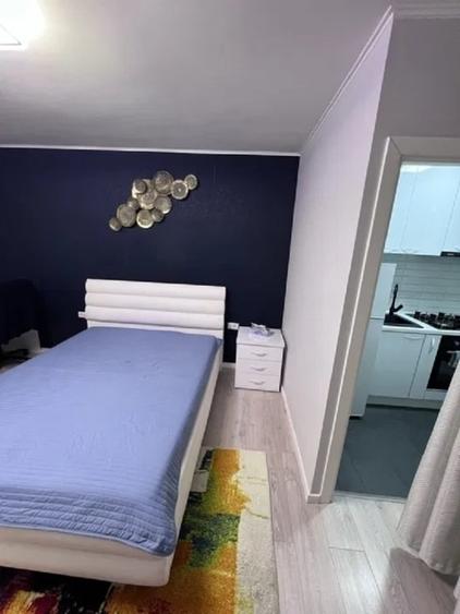 Apartament 1 camera -Podu de Piatra- - 3