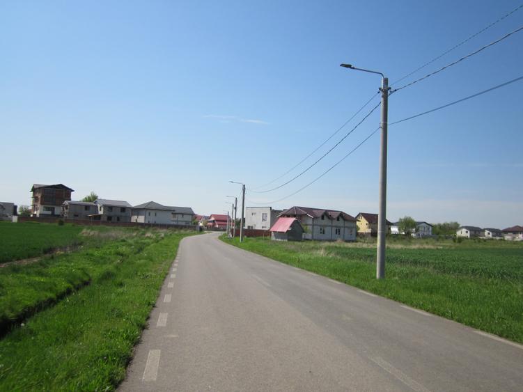 Domnesti-Narciselor - 16