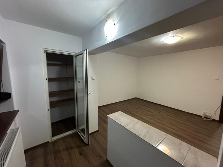 Apartament 1 camera decomandat parter cu balcon amenajat centrala Aradului - 7