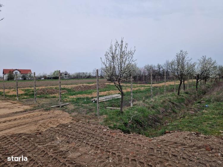 Teren intravilan in Cionche?ti dublu front stradal, 12.5 ari - 1