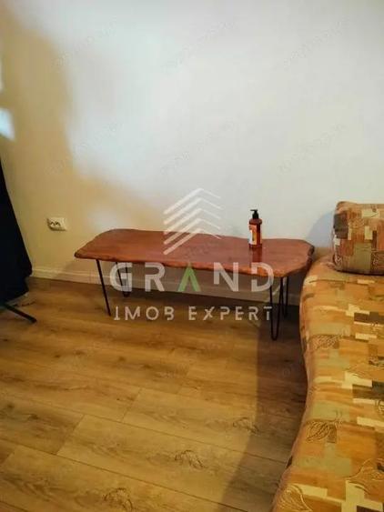 OCAZIE RARA | 1 Camera | 30 mp+Balcon 6 mp | Dambu Rotund/Lombului - 9