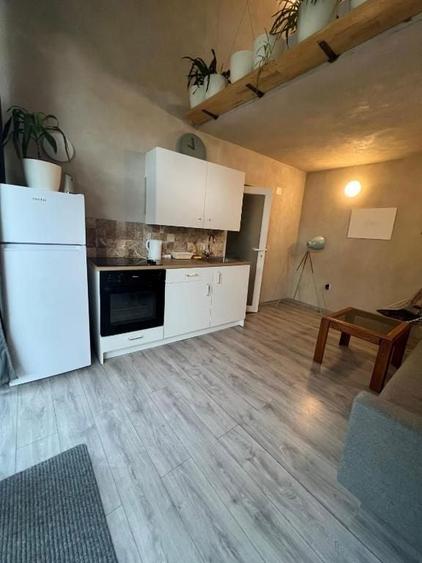 Inchiriez casa cu curte proprie. Direct proprietar! Loc parcare - 7