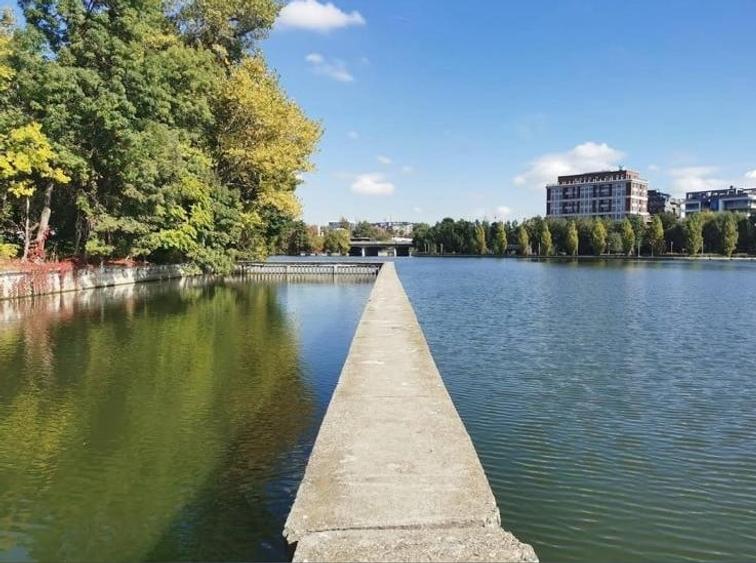 Ethos House – Spatiu de birouri, Floreasca, Barbu Vacarescu, Herastrau - 16