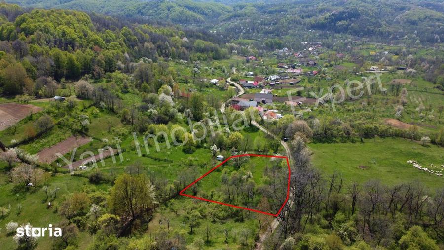 Teren de vanzare in comuna Cepari, sat Carpeni?, jude? Arge?. - 4