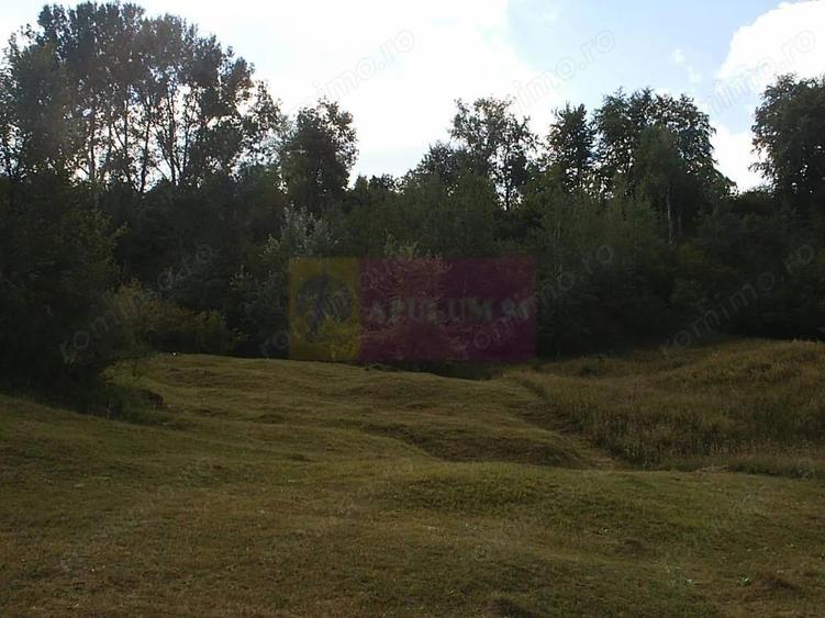 Teren intravilan de vanzare in Telega - 11