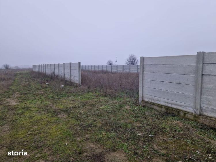 Vand teren intravilan 918 mp Simnicul de Sus - 1