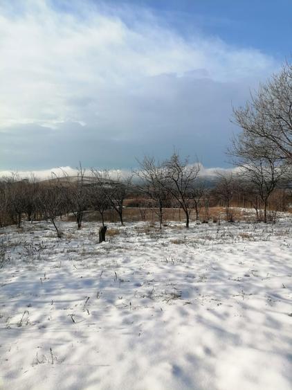 Teren intravilan Jugureni - Prahova - 6