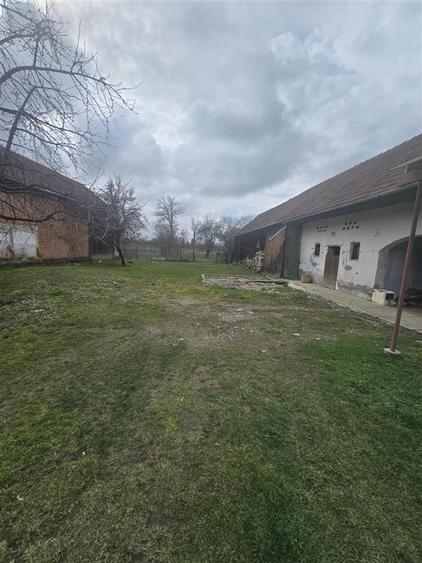 Spatiu Liniste si Libertate la poalele Muntilor - 1