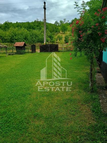 Casa batraneasca de vanzare, 4 camere, in Hunedoara, sat Micanesti - 5