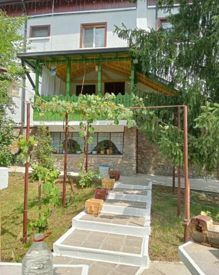 Casa spa?ioasa cu livada ?i vedere spre padure Fil - 17