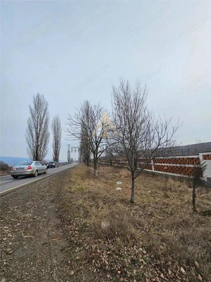 Teren Platou Premium, 57.662 mp, Deschidere Generoas #259; 400 ml la DJ One #537;tiAdjud - 18