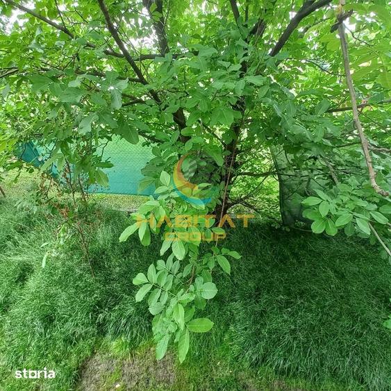 Apartament 3 camere parter inalt cu gradina proprie de 128 mp ?i pomi - 9