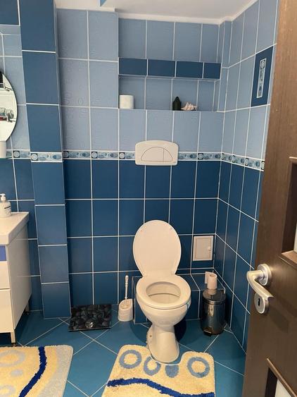 Casa 8 Camere Snagov (INCHIRIERE 2500 EURO) - 17